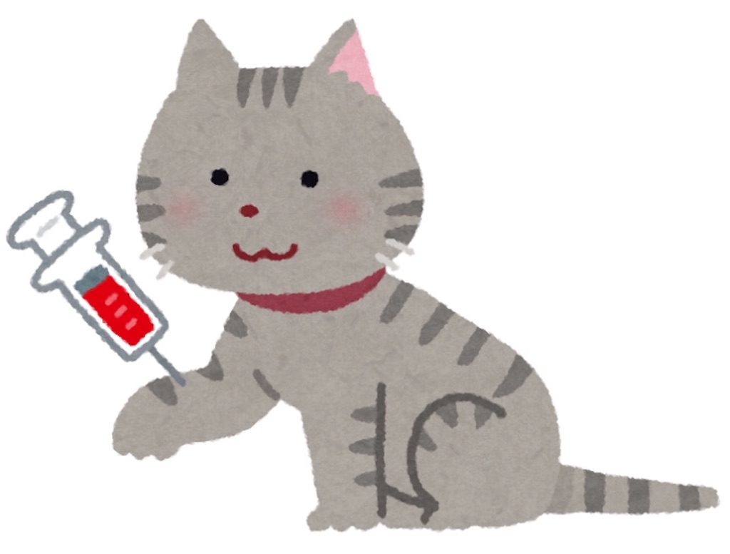 f:id:qpata:20190219220017j:image