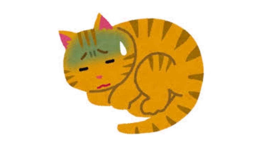 f:id:qpata:20190220021402j:image