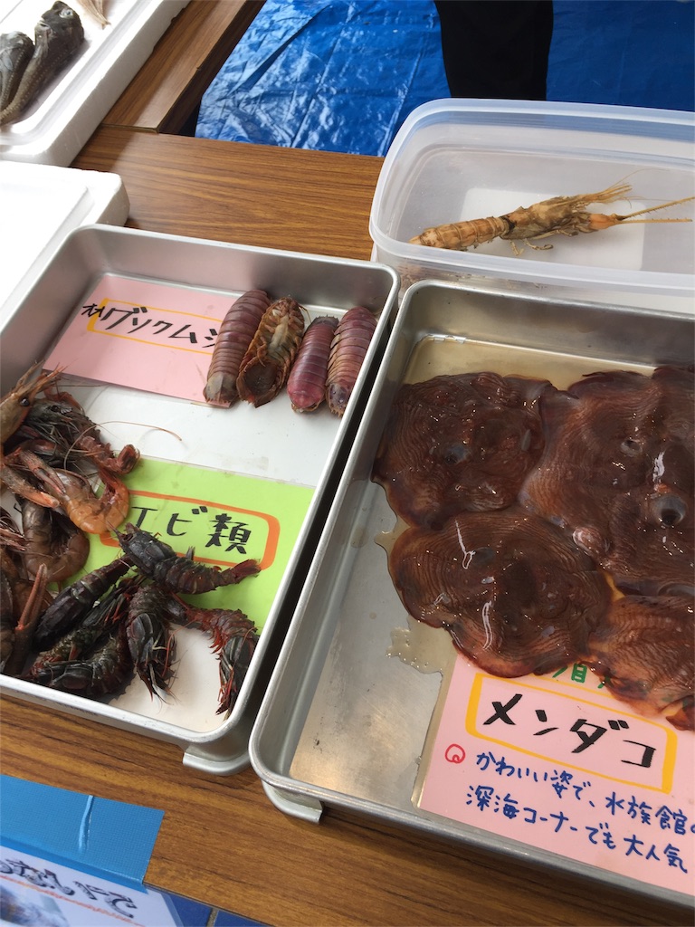 f:id:qpkingna:20171028223152j:image