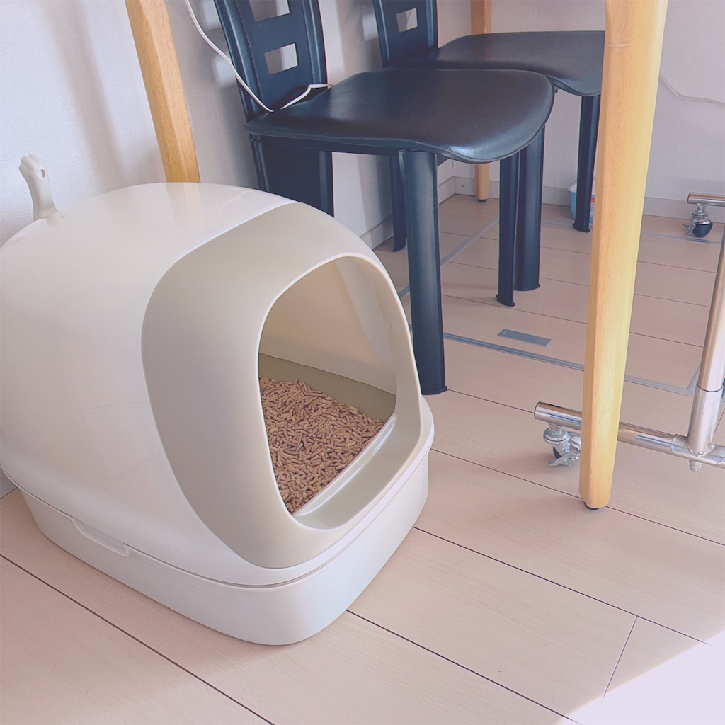 f:id:qqlium:20220609164104j:image f:id:qqlium:20220609164104j:image