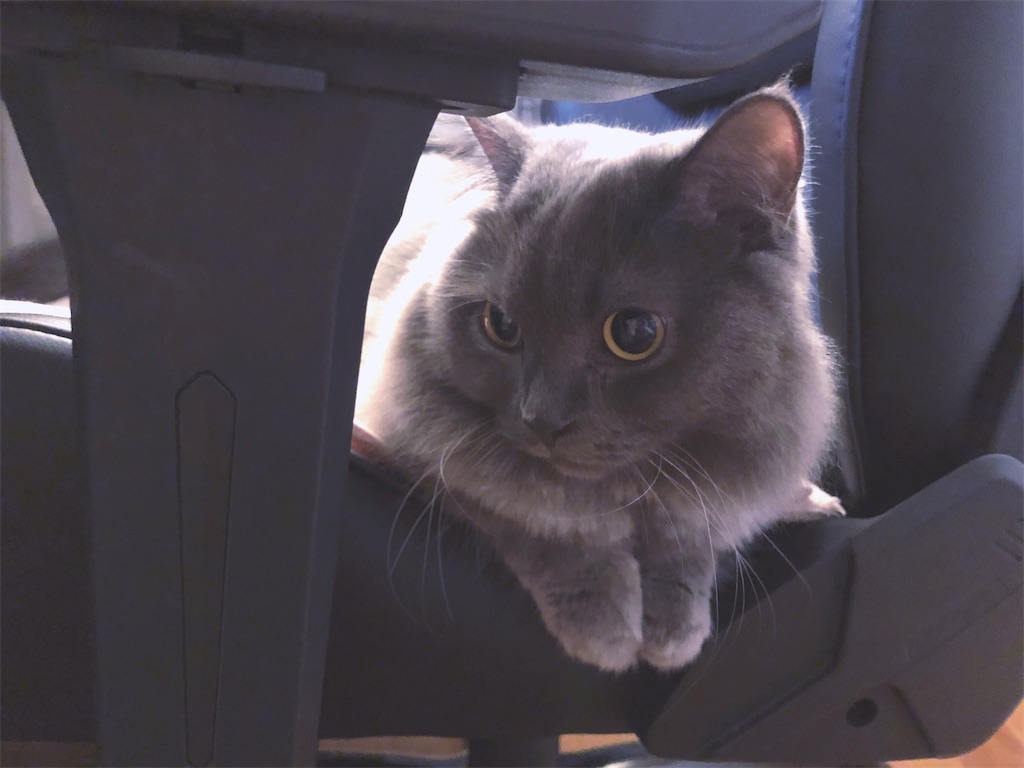 f:id:qqlium:20220609164310j:image f:id:qqlium:20220609164310j:image