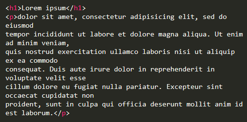 ページのソース内容