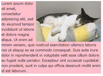 floatを右に指定してみた場合