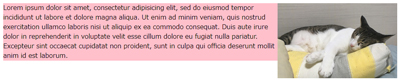 画像などが大きい場合