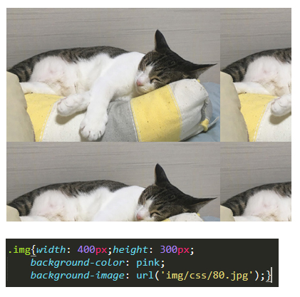 背景に猫の画像を指定