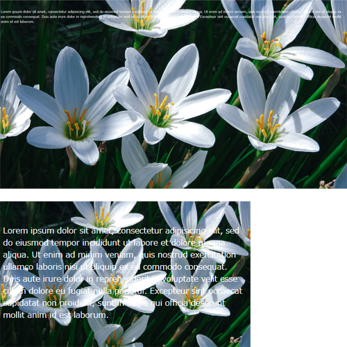 ウィンドウサイズでの違い