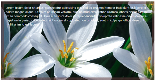 出来上がるページ