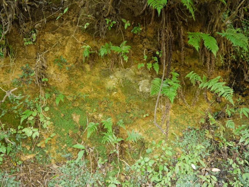 f:id:qshiro:20111008093510j:image:w360:left