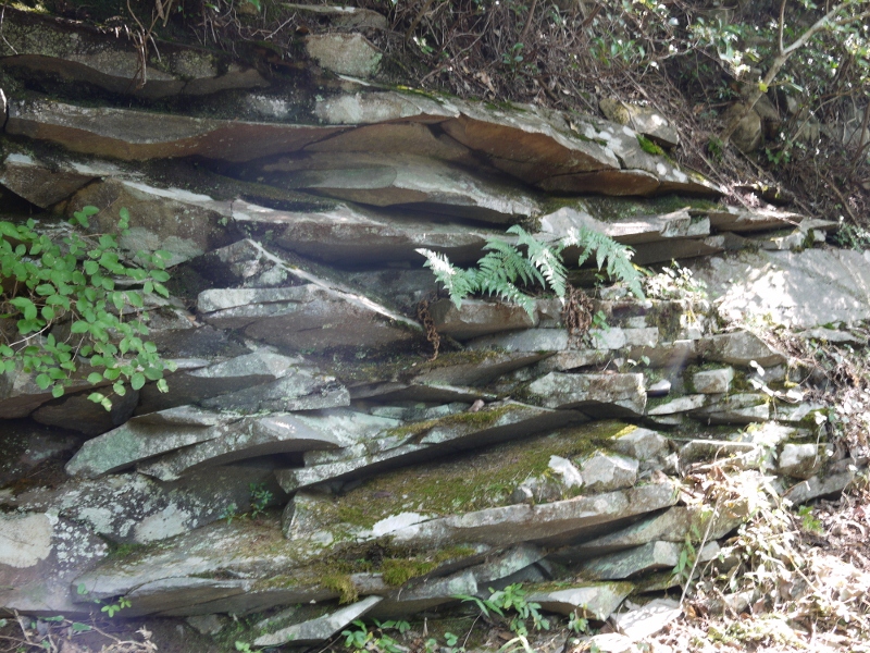 f:id:qshiro:20111008095059j:image:w360:left