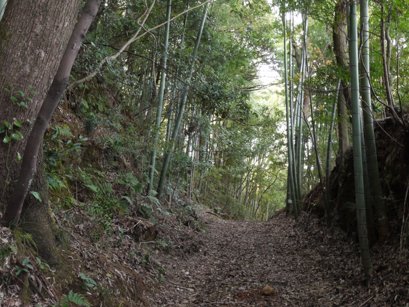 f:id:qshiro:20111030083120j:image:w360 f:id:qshiro:20111030083120j:image:w360
