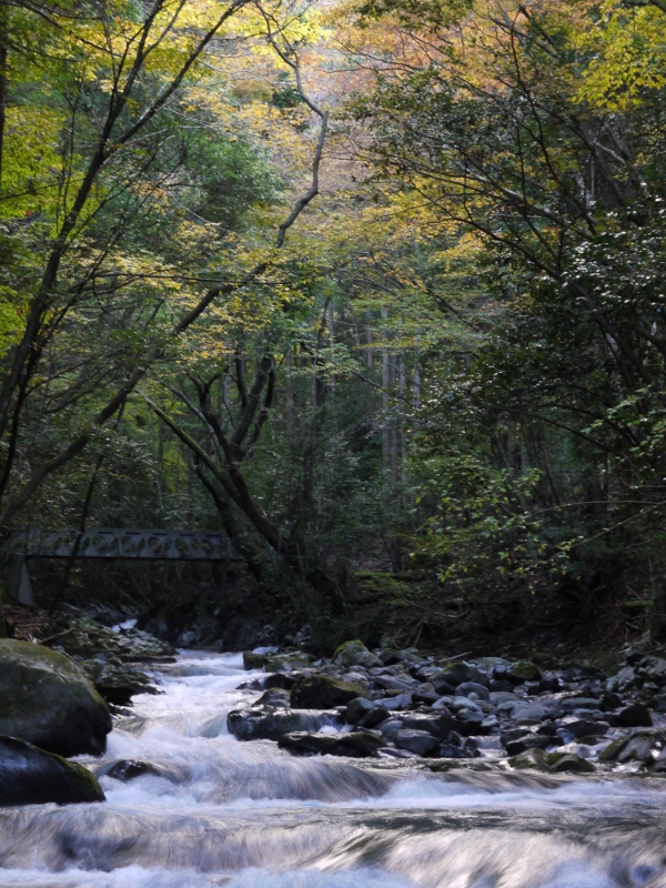 f:id:qshiro:20111121070233j:image:w360