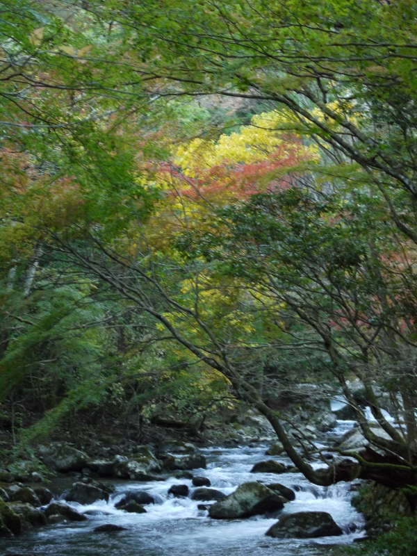 f:id:qshiro:20111121075513j:image:w360