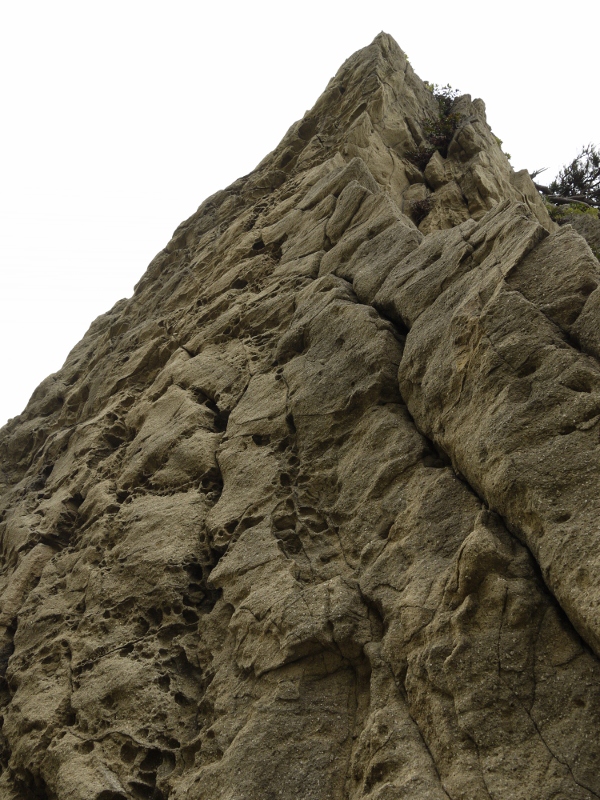 f:id:qshiro:20111128110852j:image:w360