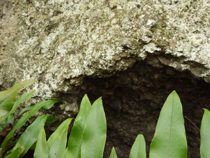 f:id:qshiro:20111128135711j:image:w360