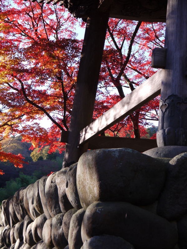 f:id:qshiro:20111204080910j:image:w360