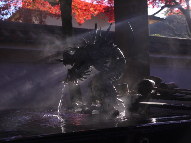 f:id:qshiro:20111204081607j:image:w360