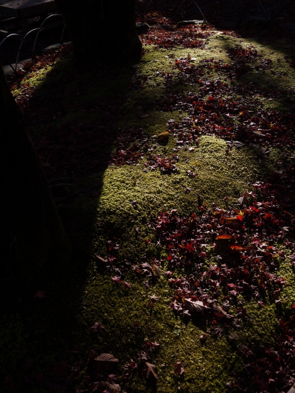 f:id:qshiro:20111204081846j:image:w360