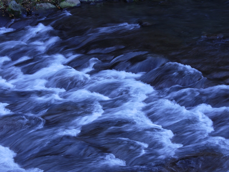 f:id:qshiro:20111204090320j:image:w360