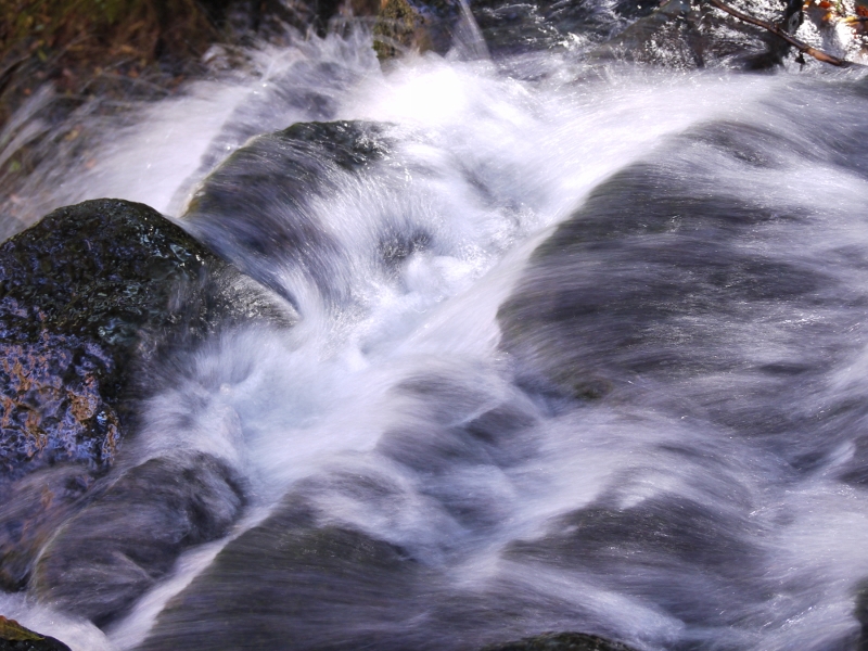 f:id:qshiro:20111204101444j:image:w360