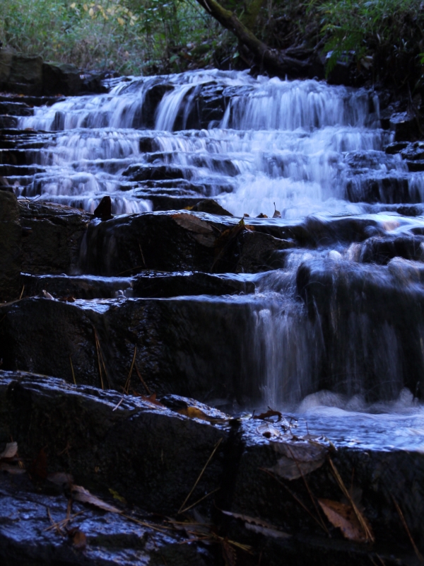 f:id:qshiro:20111204101625j:image:w360