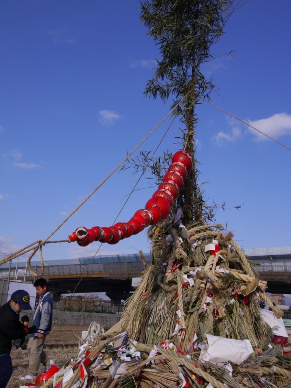 f:id:qshiro:20120108085521j:image:w360