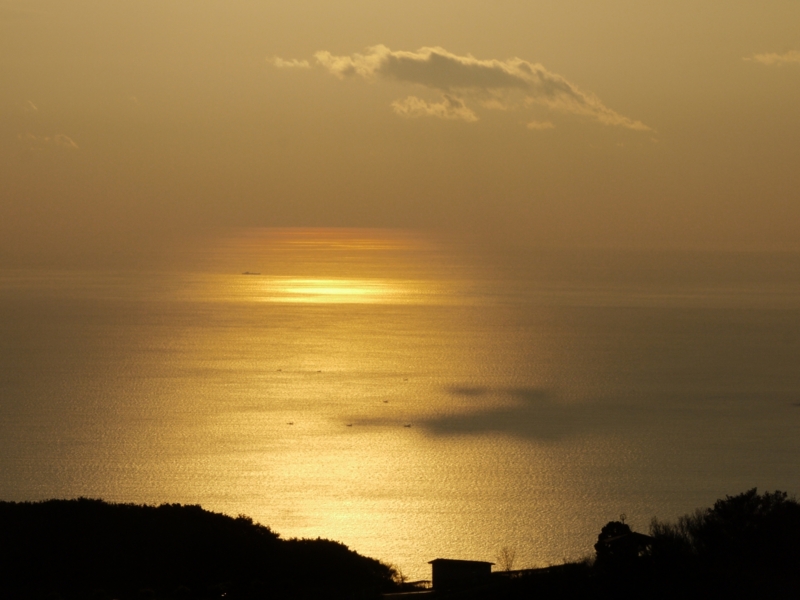 f:id:qshiro:20120109072859j:image:w360