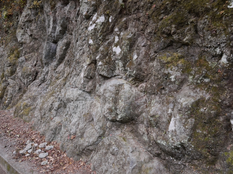 f:id:qshiro:20120116093418j:image:w360