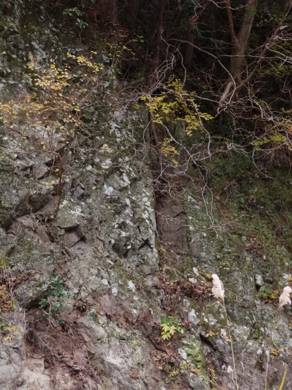 f:id:qshiro:20120116101305j:image:w360