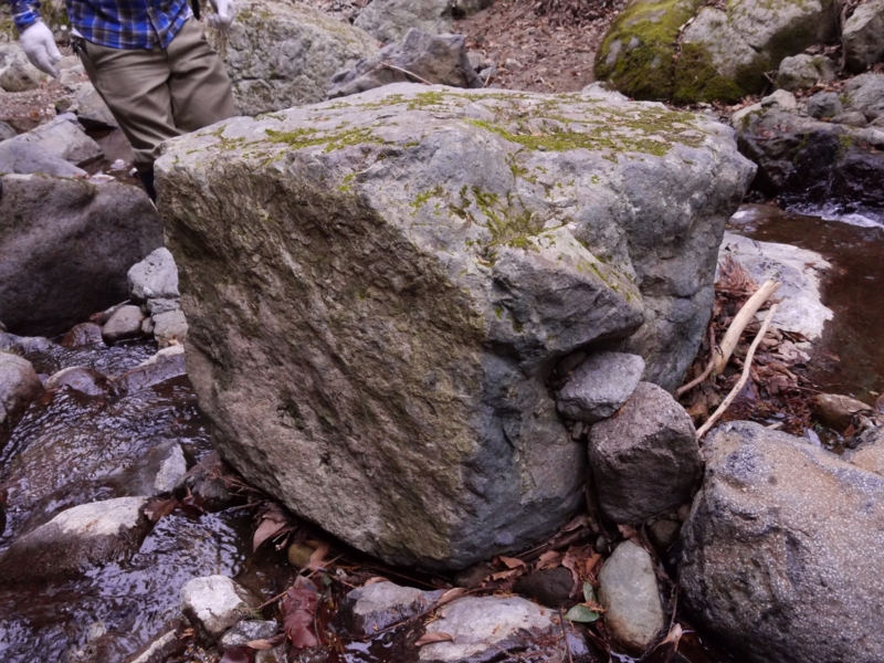 f:id:qshiro:20120116134218j:image:w360