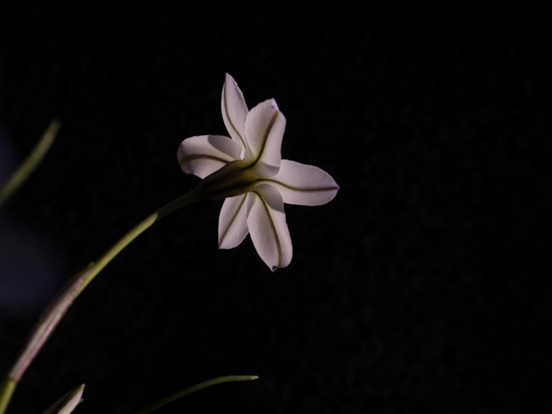 f:id:qshiro:20120401163203j:image:w360