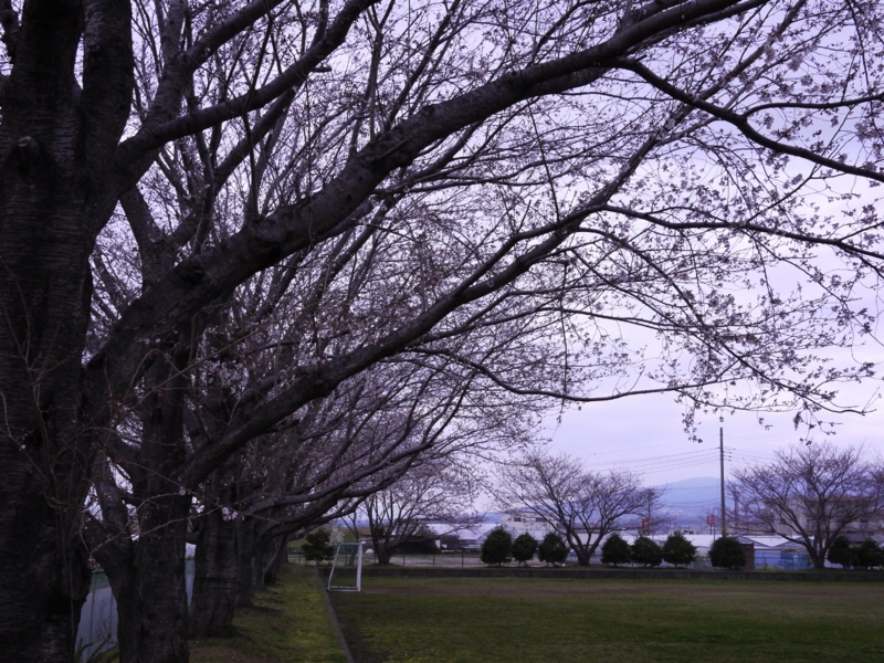 f:id:qshiro:20120402165445j:image:w360