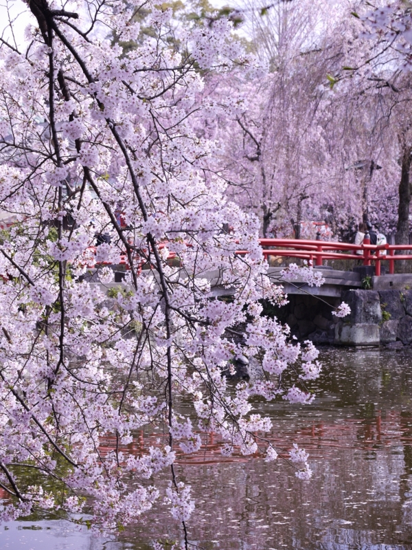 f:id:qshiro:20120408084939j:image:w360