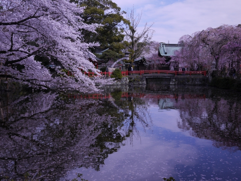 f:id:qshiro:20120408085312j:image:w360