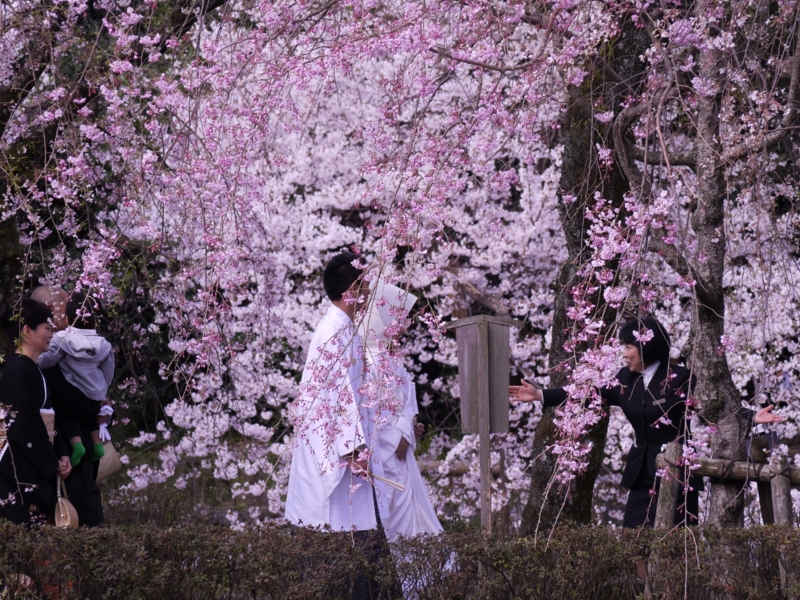 f:id:qshiro:20120408085833j:image:w360