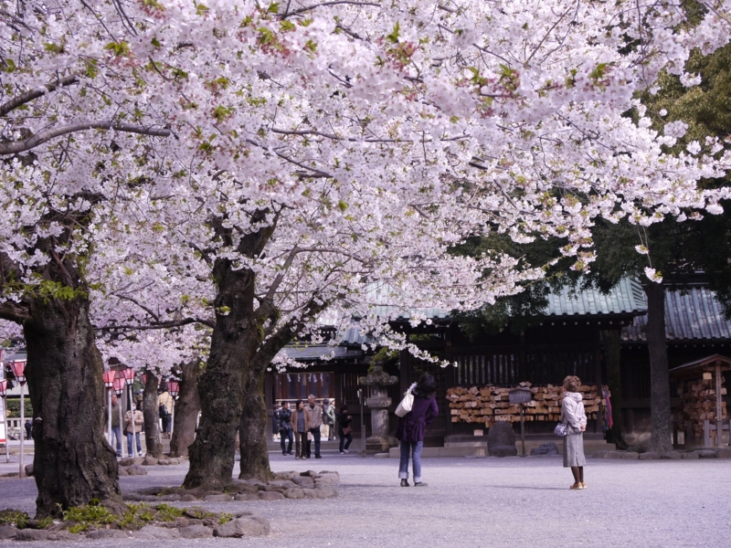 f:id:qshiro:20120408090524j:image:w360