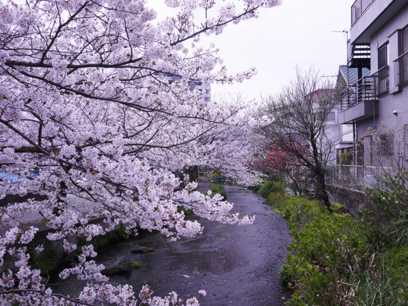 f:id:qshiro:20120408100132j:image:w360