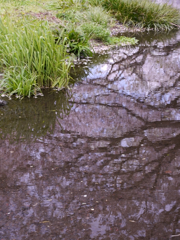 f:id:qshiro:20120408100820j:image:w360