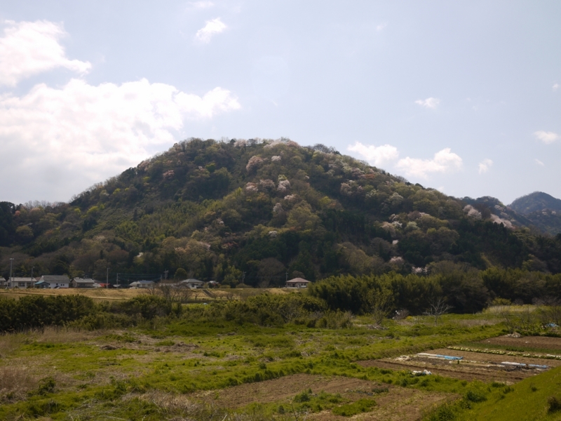 f:id:qshiro:20120408125619j:image:w360