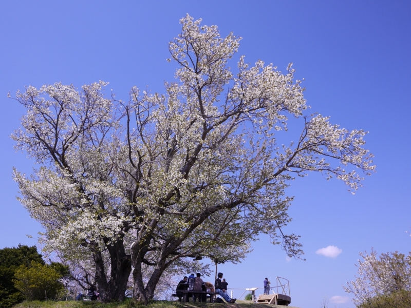 f:id:qshiro:20120408132444j:image:w360