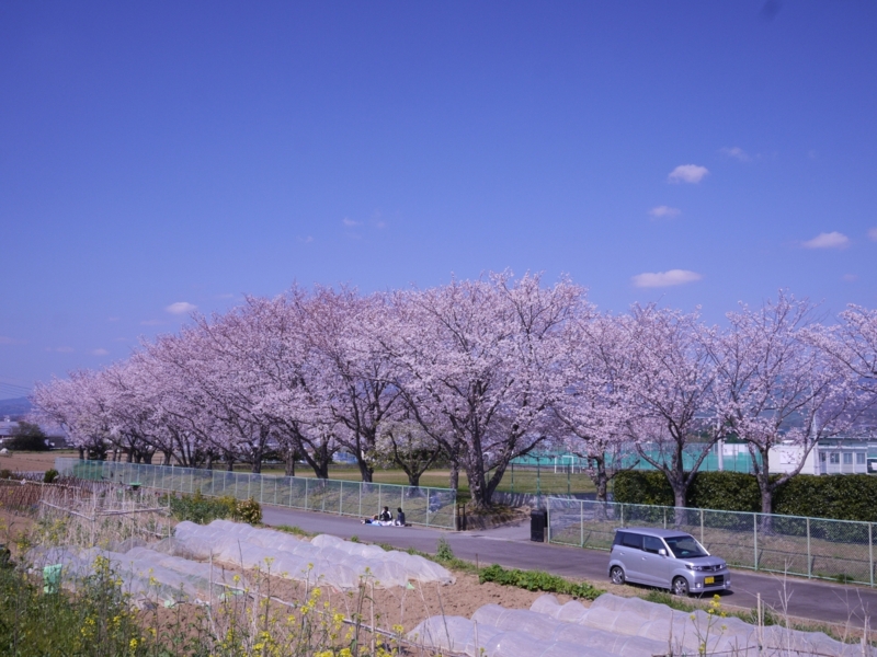 f:id:qshiro:20120408135847j:image:w360