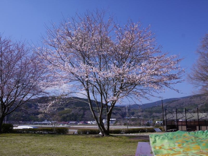 f:id:qshiro:20120408144210j:image:w360