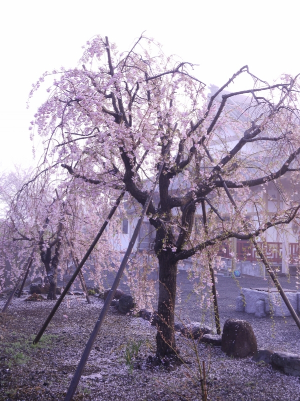 f:id:qshiro:20120412061926j:image:w360