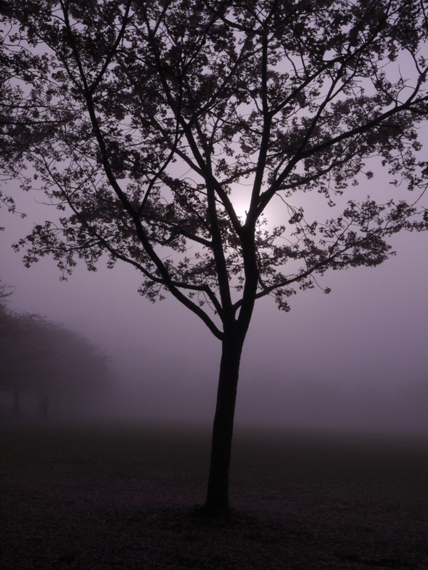 f:id:qshiro:20120412063630j:image:w360