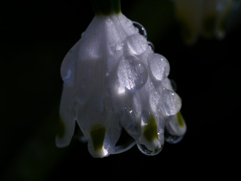 f:id:qshiro:20120412090044j:image:w360