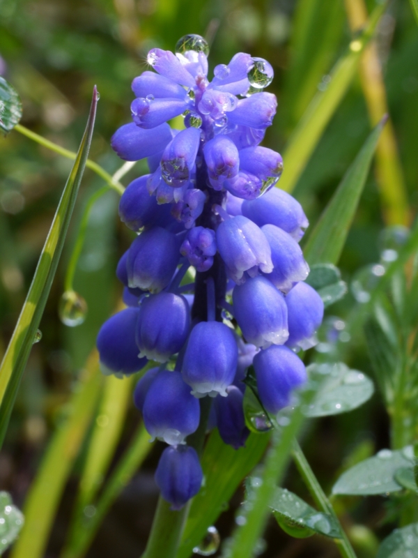 f:id:qshiro:20120412090349j:image:w360