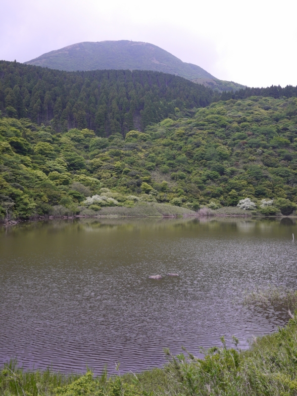 f:id:qshiro:20120530181122j:image:w360