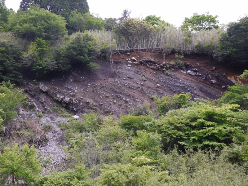 f:id:qshiro:20120530181126j:image:w360