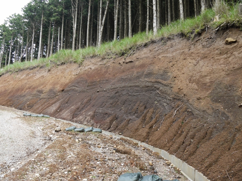 f:id:qshiro:20120709201709j:image:w360