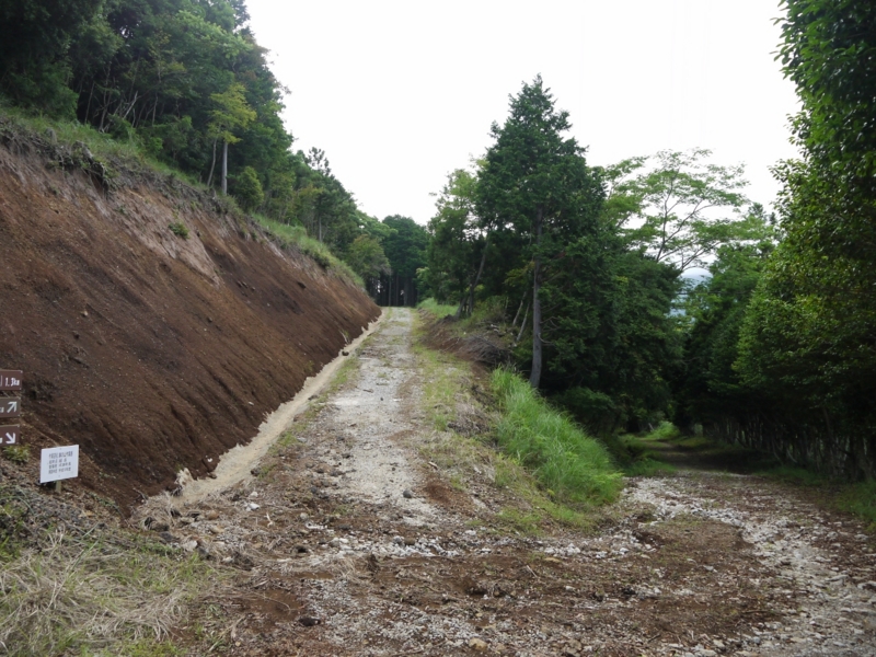 f:id:qshiro:20120709201710j:image:w360