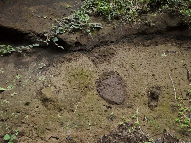 f:id:qshiro:20120709201712j:image:w360